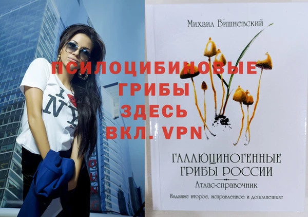 jwh Богородицк